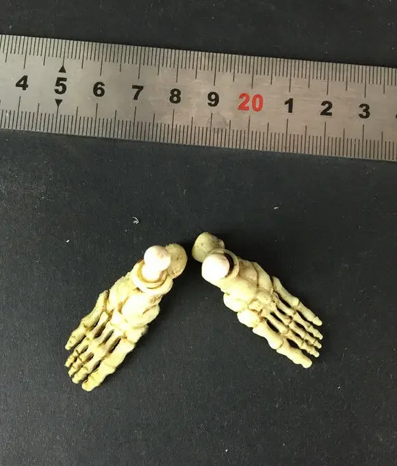 1/6 Scale Male Huma…