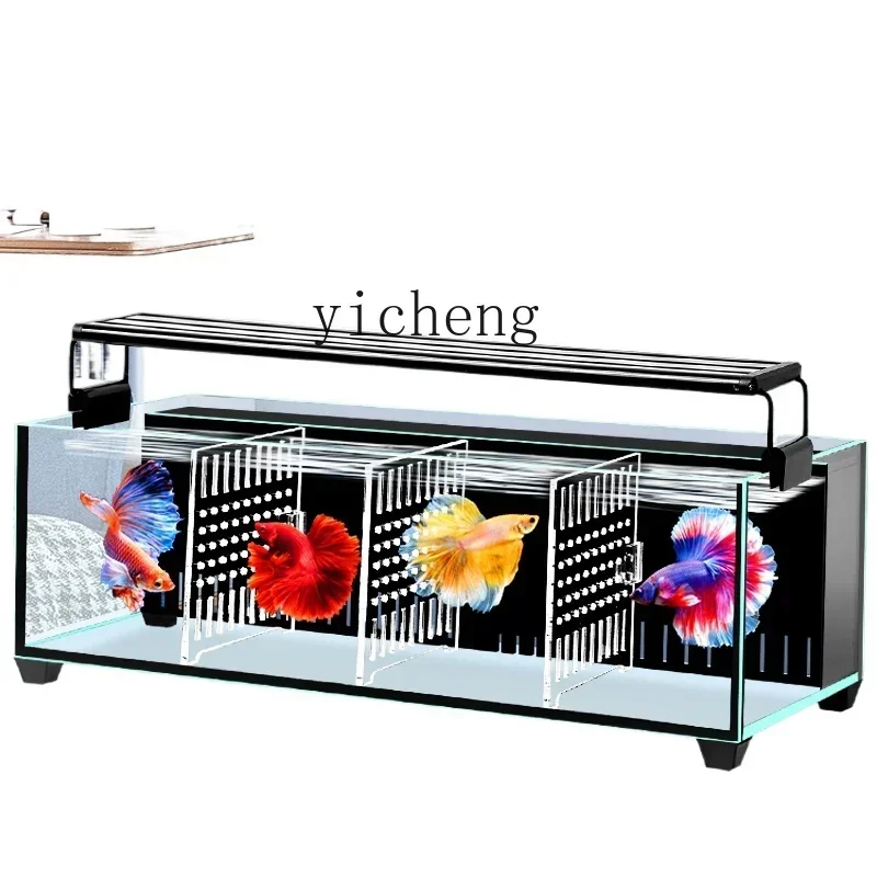 

ZZ living room small fish tank ultra-white betta tank glass multi-grid isolation