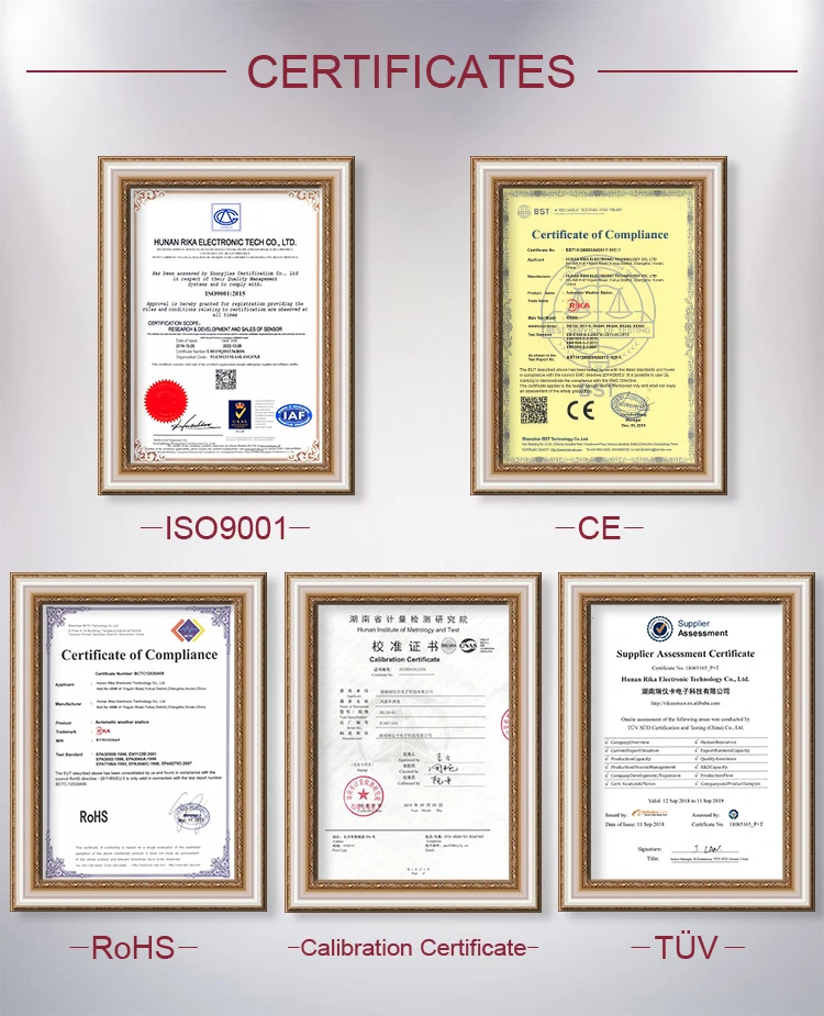 RIKA RK500-16 fornitore della cina trattamento delle acque reflue rilevatore di sensori di azoto di ammoniaca di cloruro di ioni di nitrato