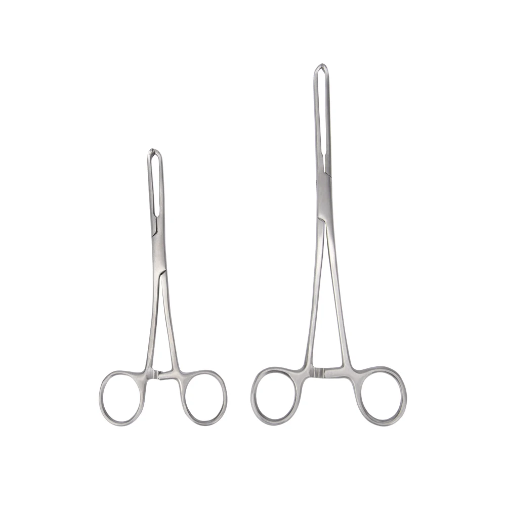 GISTARMED Tissue Forceps Alice Forceps Mouse Tooth Forceps Alice Forceps Basic Surgical Instrument Orthopedic Clamp