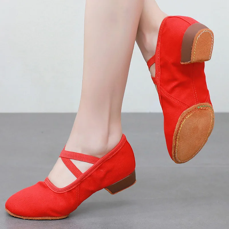 Women Dance Shoes Teacher Training Shoes Adults Latin Shoes Girls Soft sole Ballet Shoes Jazz Yoga Belly Dance Shoes Female