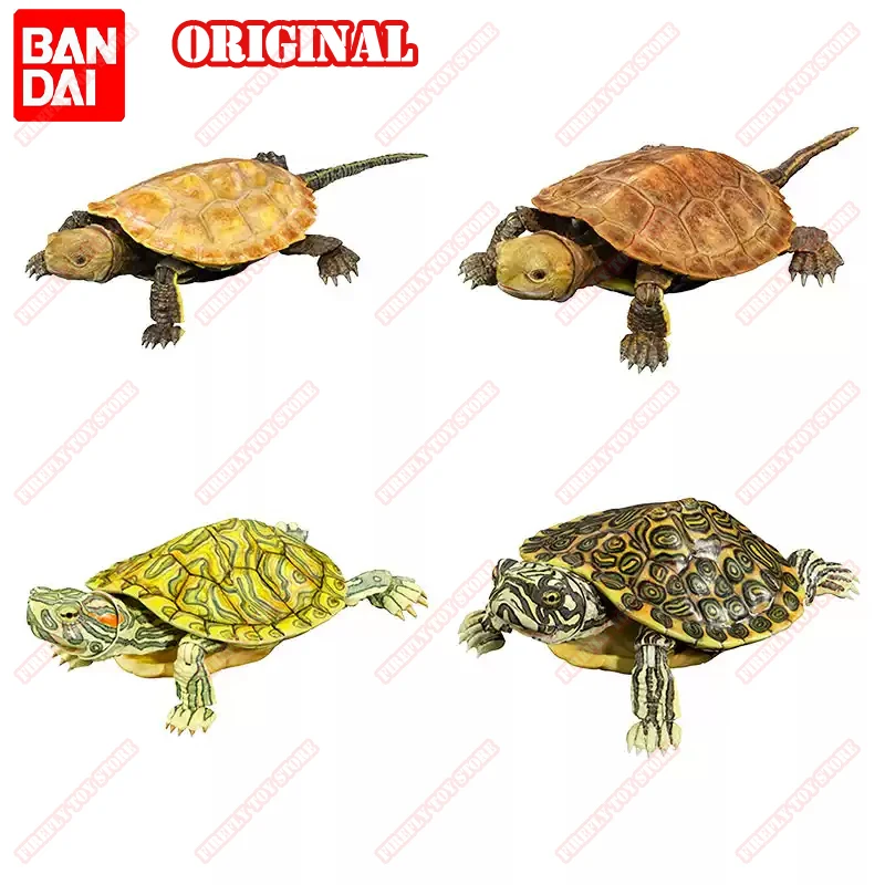 

BANDAI Original Toy Ikemono Taisyou ADVANCE Mauremys Japonica Gacha Movable Anime Action Model Figures Collection