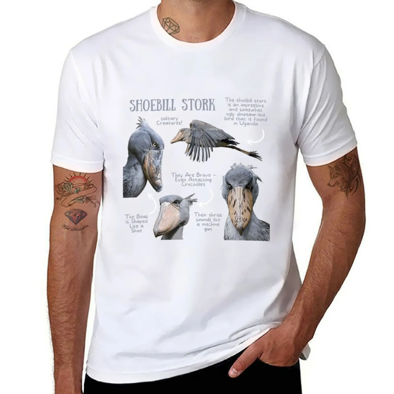

Shoebill Stork Fun Fact \t T-Shirt t shirts for man slim fit graphic t shirts for man T-Shirt