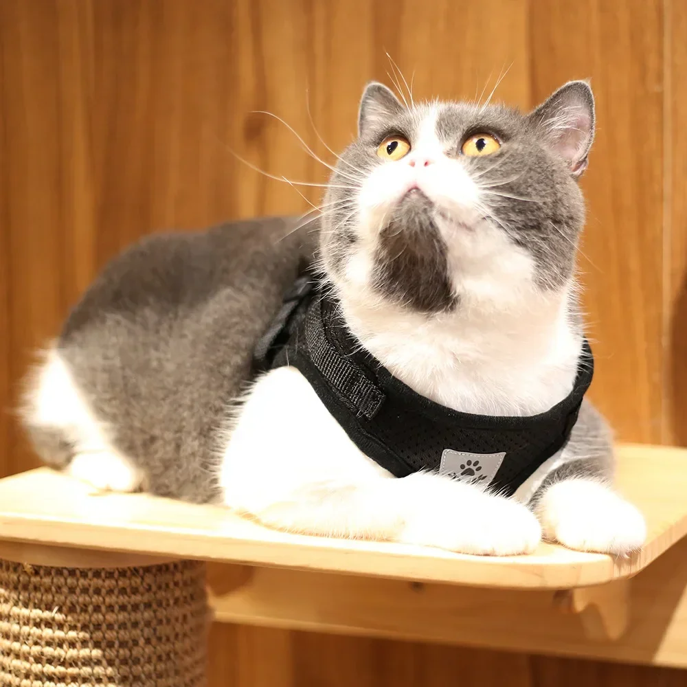 Ausbruchsicheres Katzengeschirr, Verstellbare Reflektierende Weste, Atmungsaktives Netz-Haustier-Führgeschirr-Set für Kleine Welpen und Kätzchen zum Gehen und Training – Detail 23