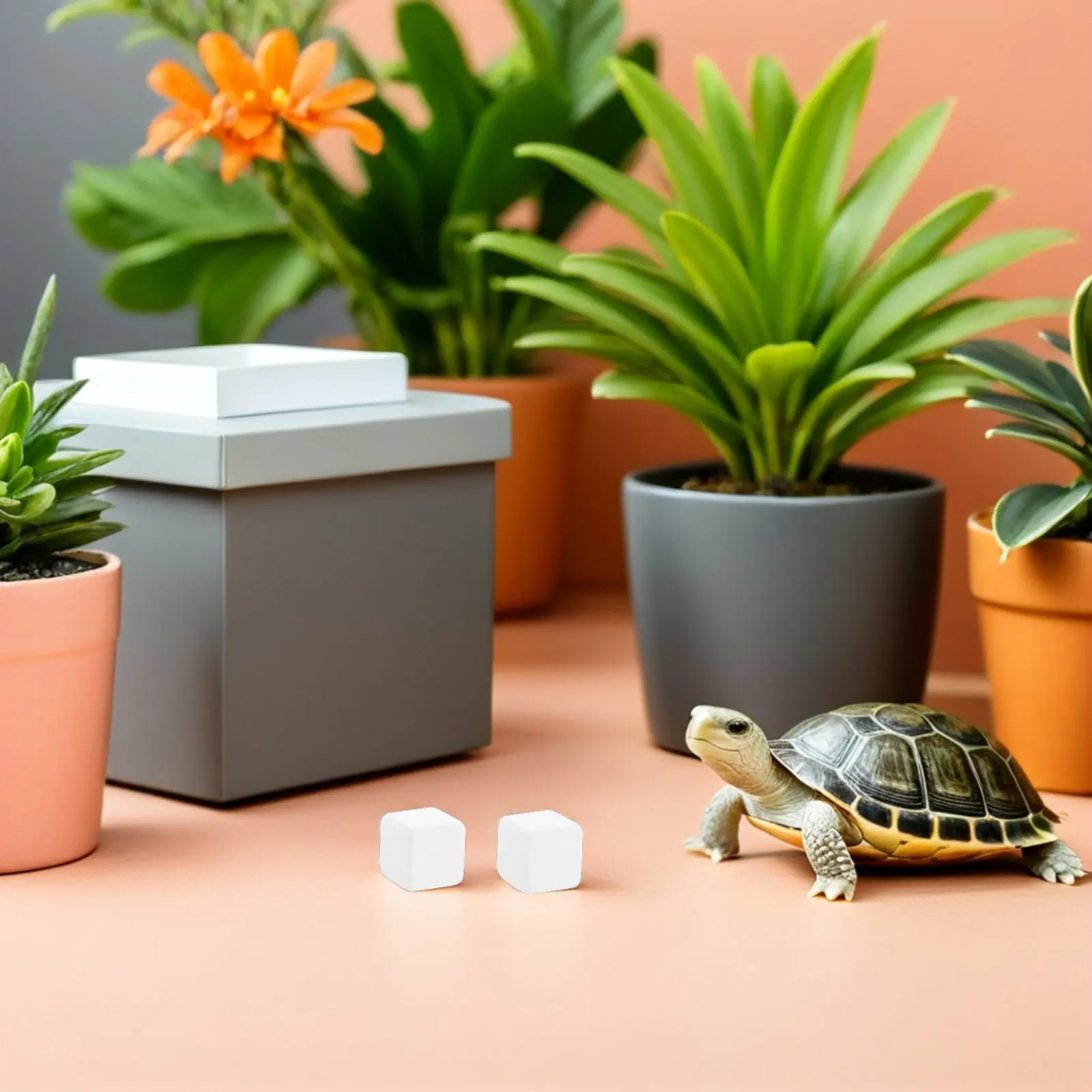 6Pcs Calcium Blocks for Reptile Mineral Supplement Daily Feeding Turtle Tortoise Gecko Aquarium Water Quality Reptile Calcium
