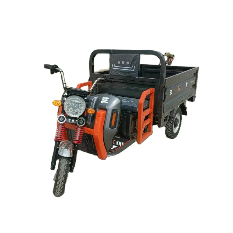 Cargo Trade Full Cover New 2024 Speed 60 Freight Nwow Flatbed Electric Cargo Tricycle