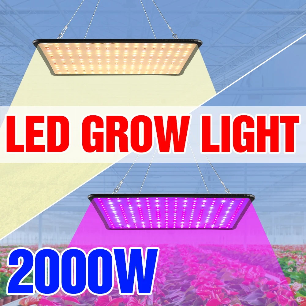 Led Grow Light Greenhouse Phytolamp For Plants Full Spectrum Phyto Grow Lamp Hydroponics Flowers Tent Box Indoor Plant Lighting