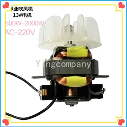 High-power Hair Dryer Motor Hair Dryer AC Motor with Fan Blade 13# Motor Hair Dryer Parts