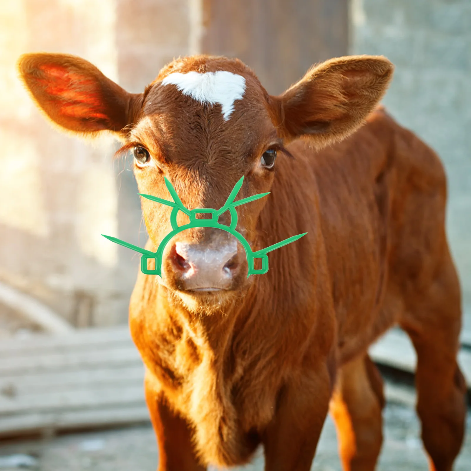 

1pcs Calf Weaner Tool Plastic Nose Ring Smooth Transition Prevents Sucking Reduces Stress Safe Calves Livestock Farm Accessories
