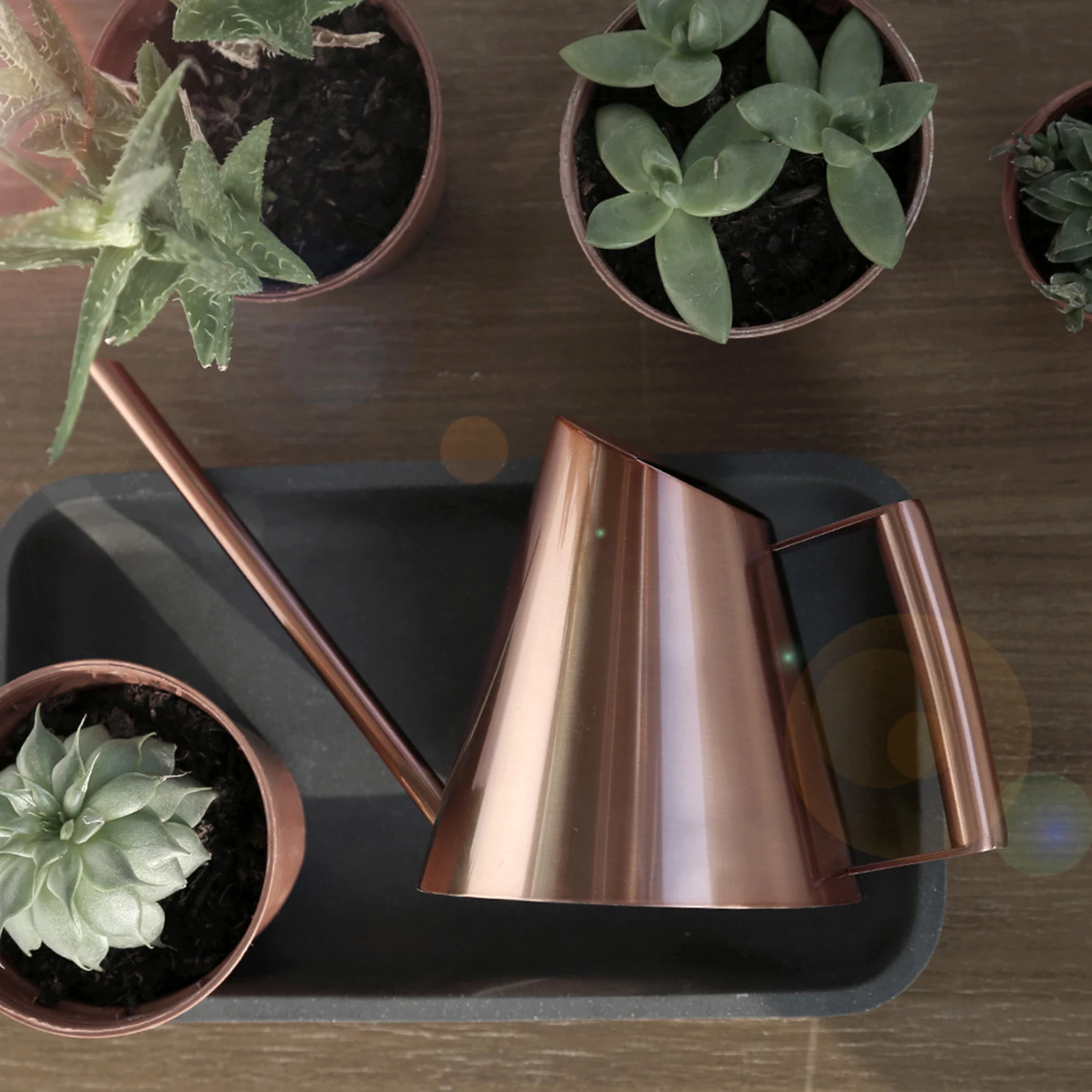 Household Stainless Steel Watering Can Pot Garden Green Plant Flower Watering Kettle Bronze Garden Watering Tool Watering Kettle