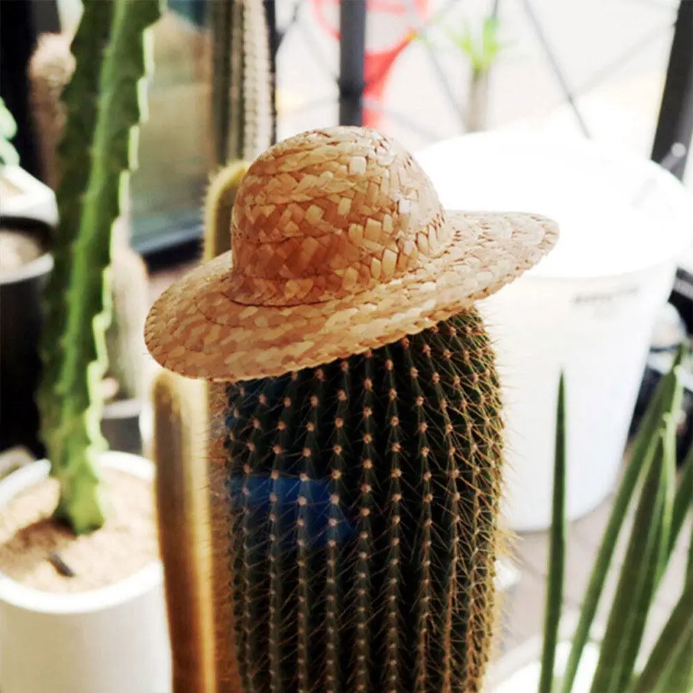 4 Peças Mini Chapéus de Palha Trançada para Artesanato DIY, Decoração, Adereço Fotográfico, Artigos para Festas Domésticas e Ornamento Miniatura