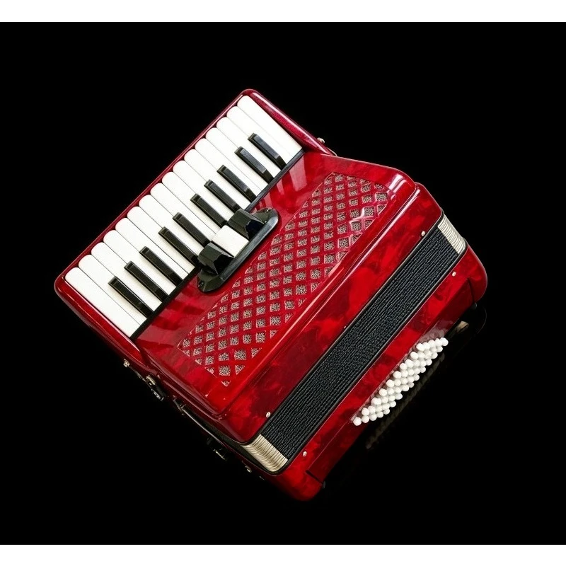48 Bass 26 Key Piano Accordion Professional Musical Instrument for Performance Keyboard Instrument
