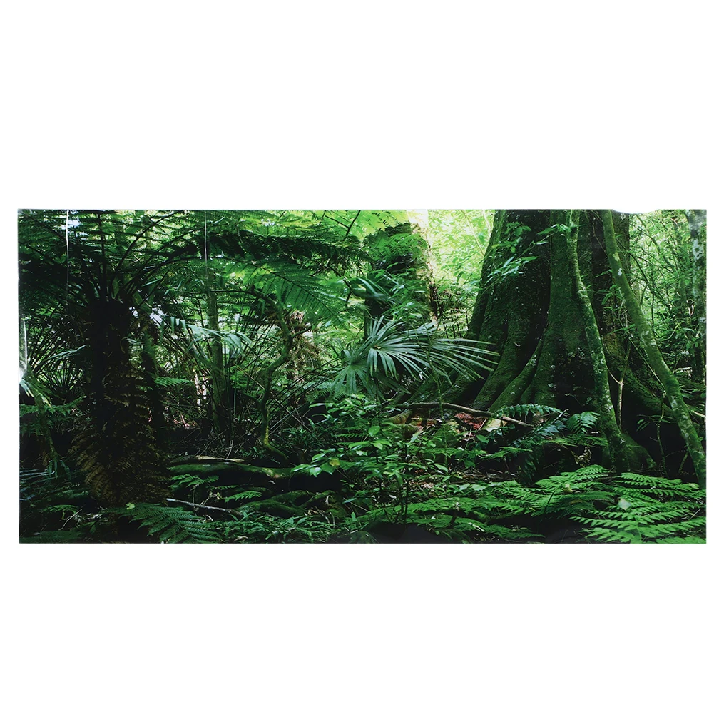 PVC Reptilien Box Regenwald Hintergrund Poster Aquarium Wandbild Malerei Dekoration selbst klebende Aufkleber – Detail 6