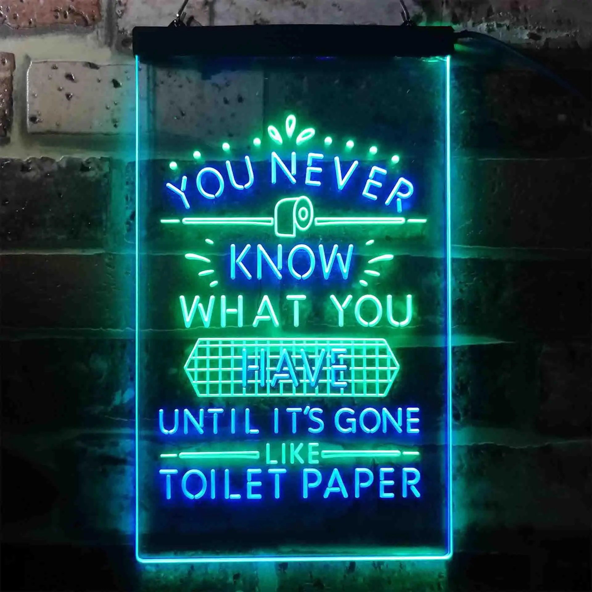 

Never Know What You Have Toilet Paper Dual Color Led Neon Sign st6-i3409