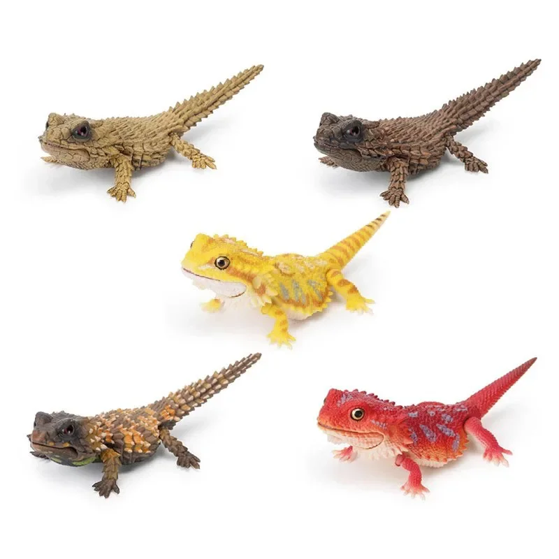 Bandai Big picture of biology Gashapon Bearded Dragon & Armadillo Lizard Action Figure Complete Set Collection Toys new in box