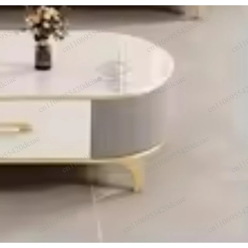 Small Apartment Oval TV Cabinet Minimalist Furniture Stone Coffee Table Living Room Modern Home Furnishings