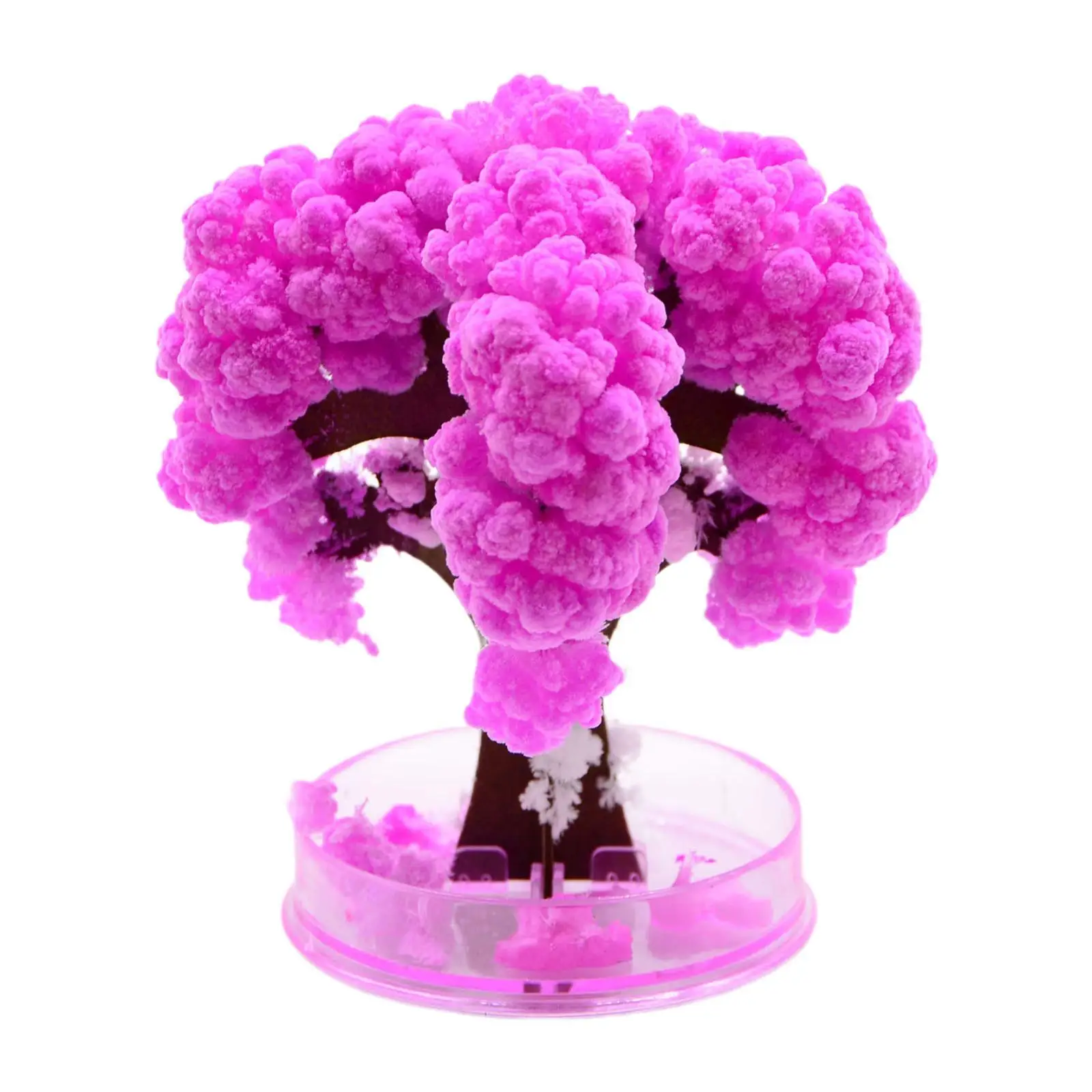 Growing Cherry Blossom Tree Ornament Decoration Decorative DIY Science Experiment Kit Sakura Tree Growing Kit Craft Kit for Kids