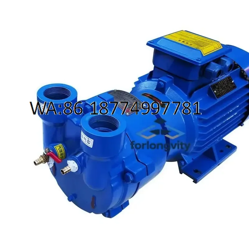 custom 2BV2061 20hp Liquid Water Ring Vacuum Pump for Automotive Industry 15kw Power with OEM Support