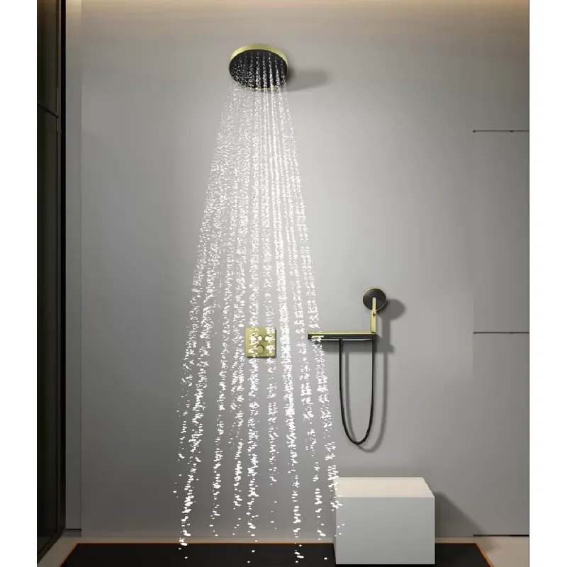 Two-Function Self-Cleaning Hotel Family Use Hidden Shower Set with Circular Top Brass Waist Nozzle Metal Handheld for Villas