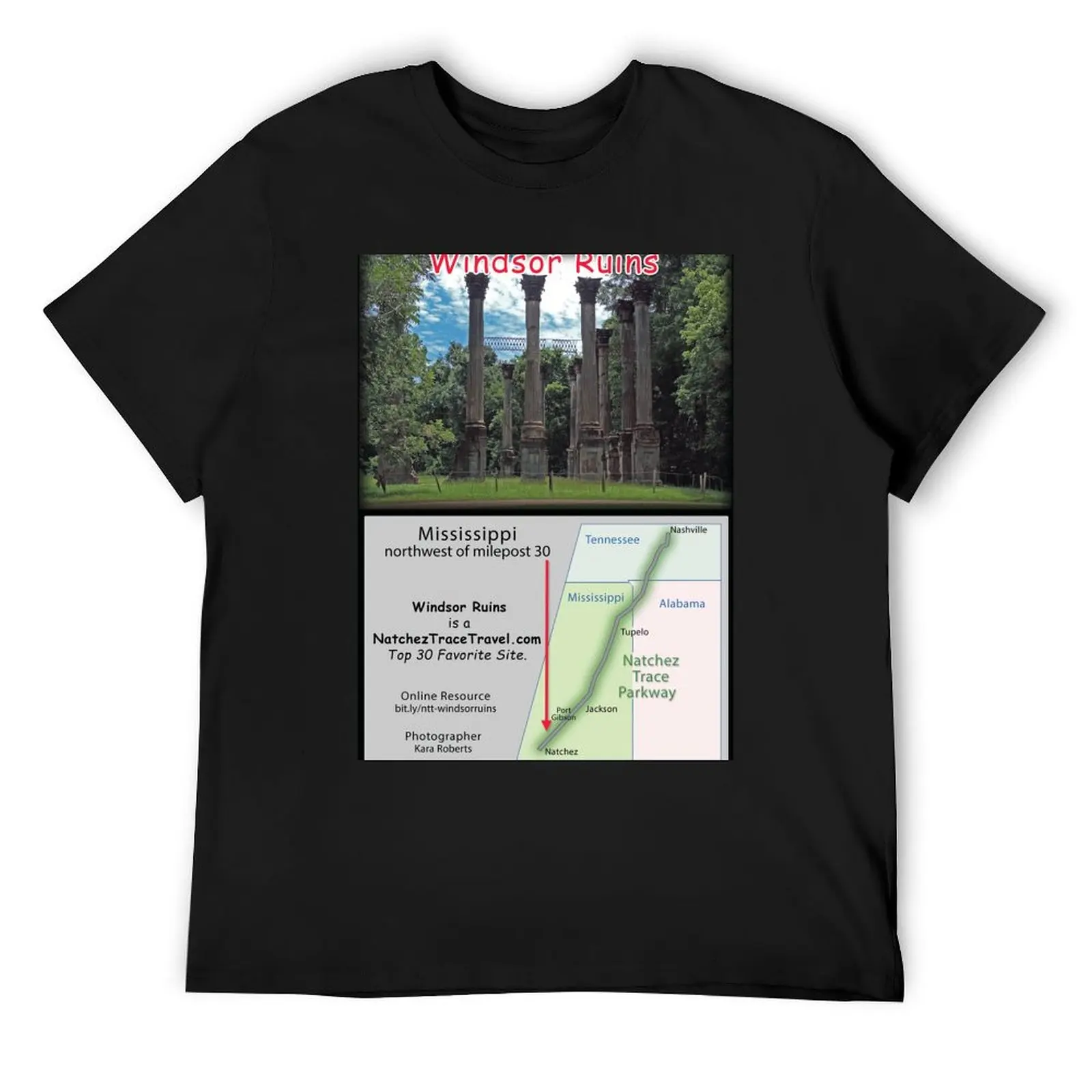 Windsor Ruins on the Natchez Trace Parkway. T-Shirt street wear plus sizes rapper graphic tees cotton t shirt men