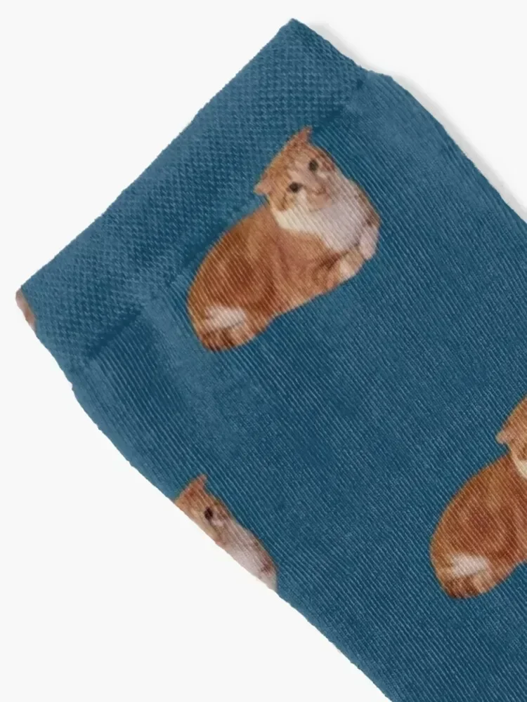 Francey photo blue loaf Socks Stockings man custom sports Sports kawaii Socks For Women Men's