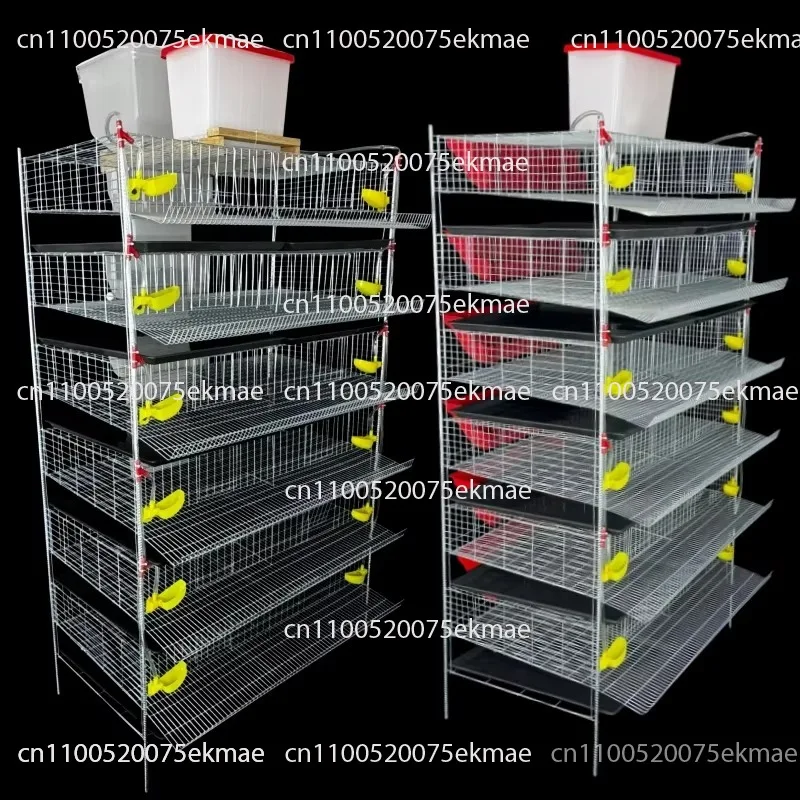 Automatic quail feeding cage, automatic manure cleaning quail cage, automatic poultry cage system