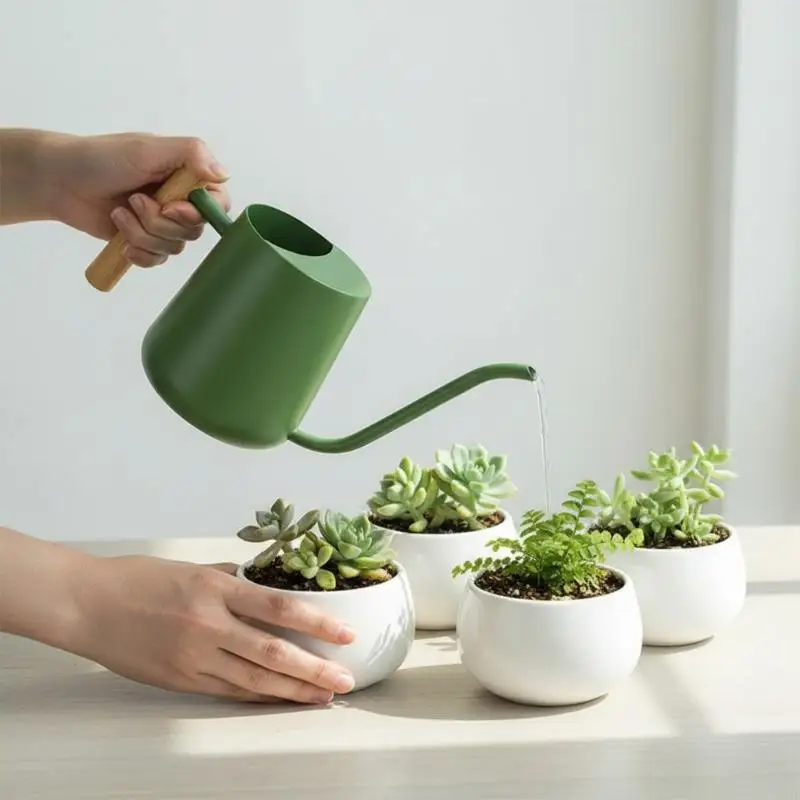 

Лейка из нержавеющей стали 201, горшок с деревянной ручкой, большой емкости и длинным носиком для точного орошения сада B03E