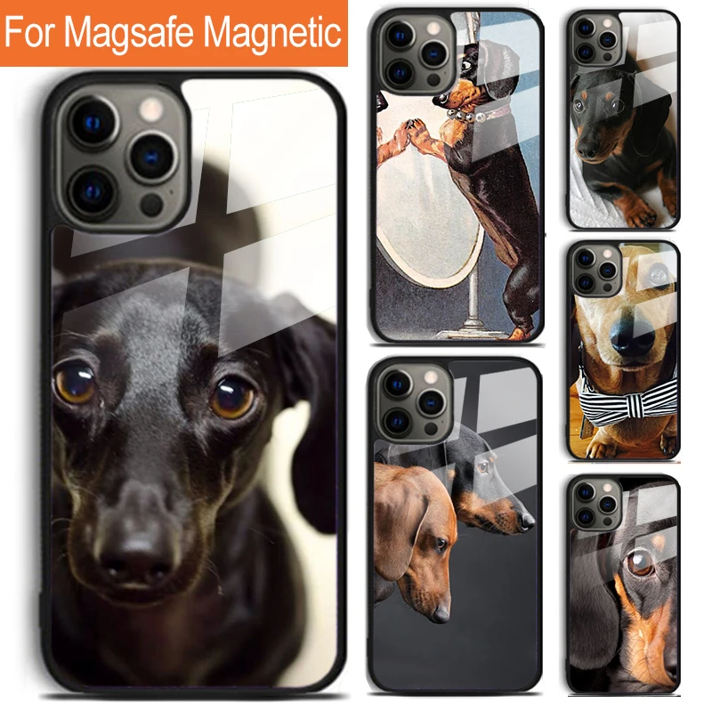 cute Teckel Dackel Dachshund Dog Phone Case For iPhone 16 15 14 13 12 11 Pro Max Plus Magsafe Magnetic Wireless Charging Cover