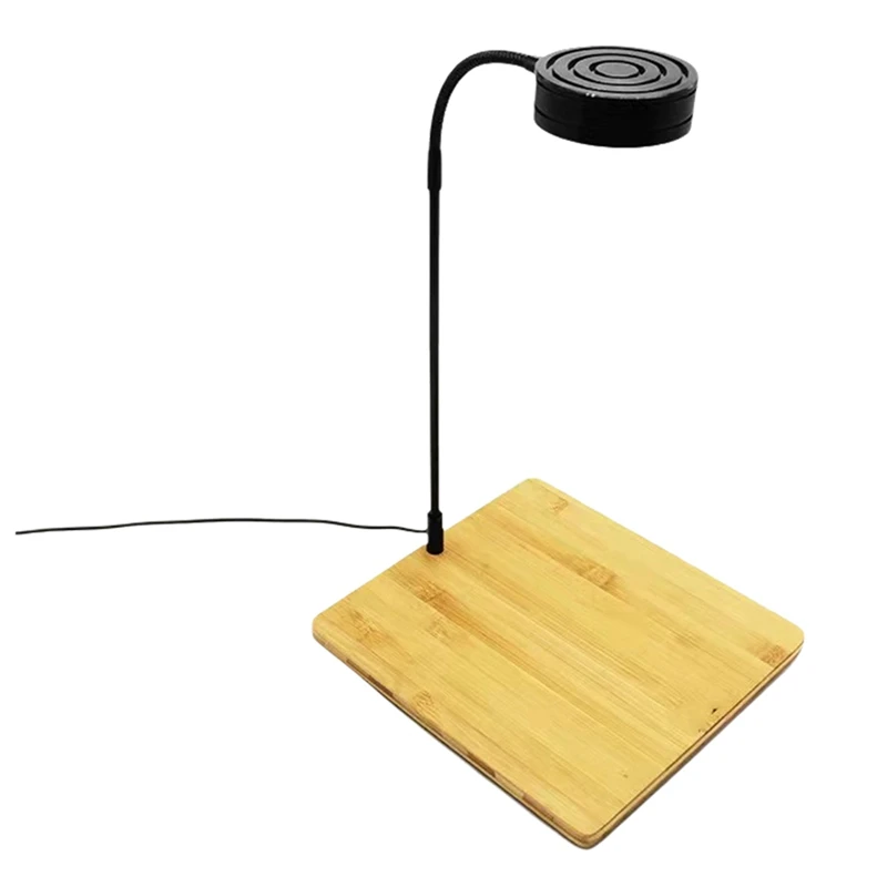 BAAG-LED Luce per acquario con lampada base in bambù per acquari Piante in vaso Piante grasse Paesaggio in miniatura Spina americana