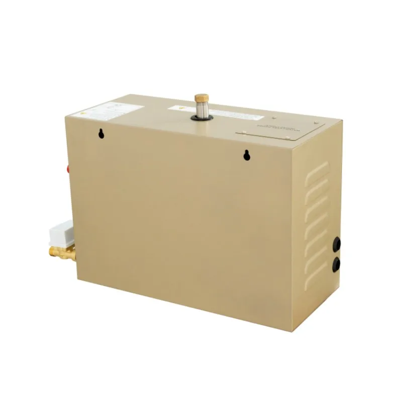 Powerful Commercial Stainless Steel Steam Generator 8KW with Wet Steam for Hotel Use and Fast Steam