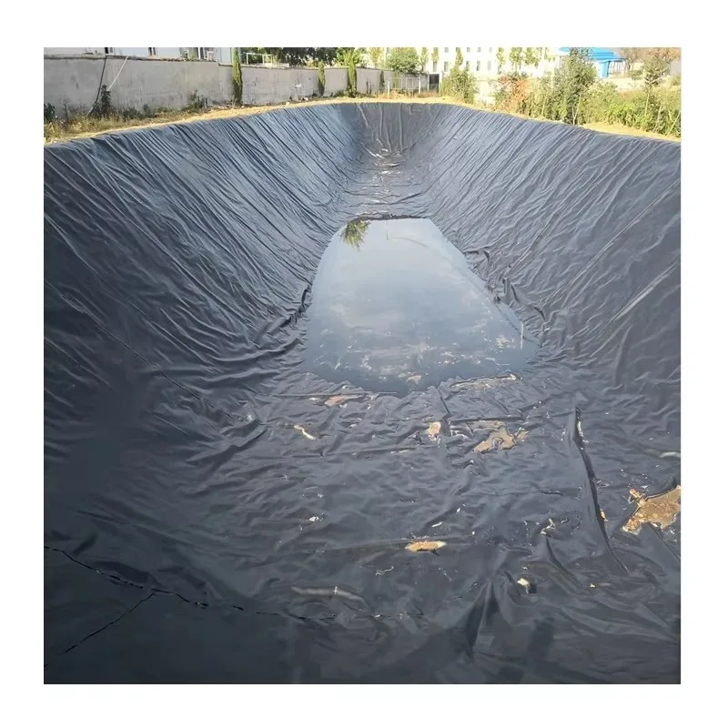 HDPE Anti Seepage Geomembrane Liner Customized Size for Fish Farm Reservoir Landfill and Wastewater Projects Worldwide