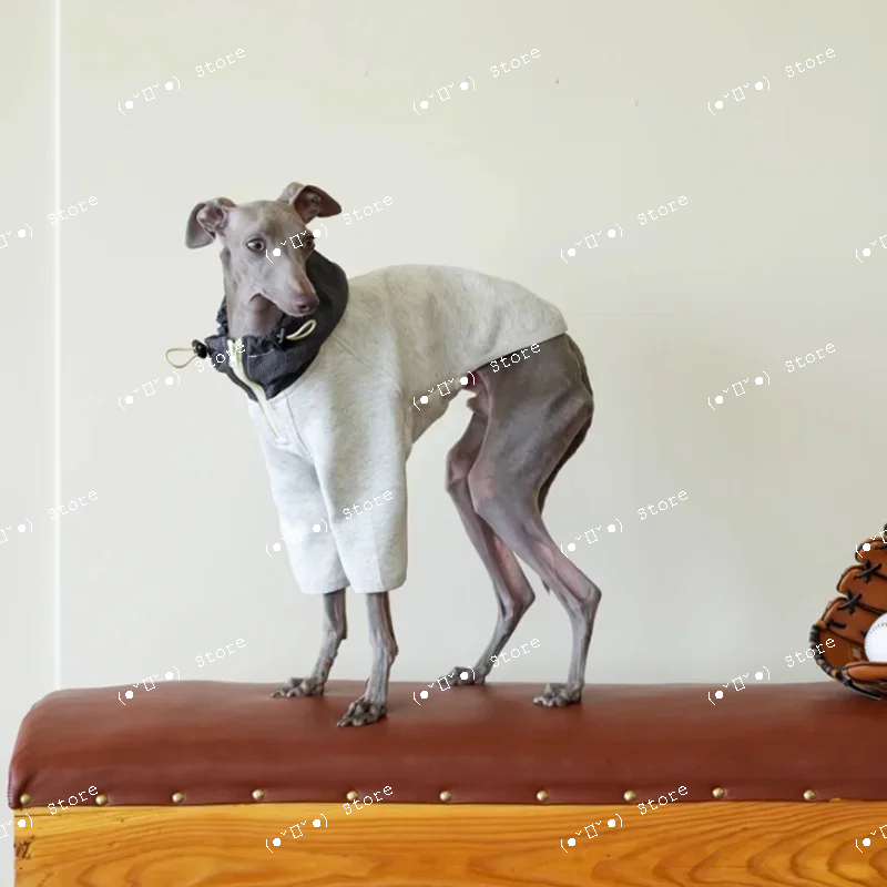 

Super Soft Fluffy Air Layer Stitching Pet Sweater Small and Medium Dog Clothes Bellington Greyhound Clothes Dog Hoodie