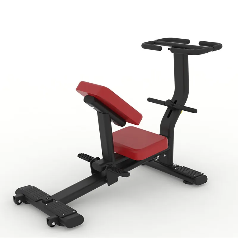 

Rowing Exercise Bicycle Factory Direct Sales Commercial Gym Club Use Fitness Premium Stretching Machine