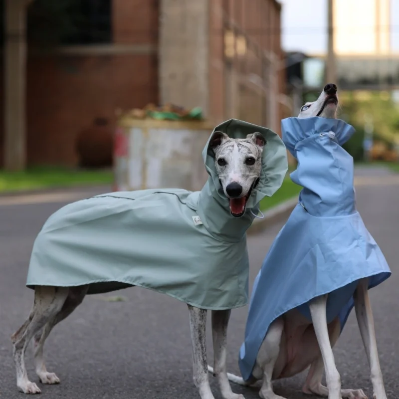 Solid Color Raincoat for Italian Greyhound Whippet in Spring Summer Lightweight Waist Adjustable Windproof Jacket for Pet Dogs