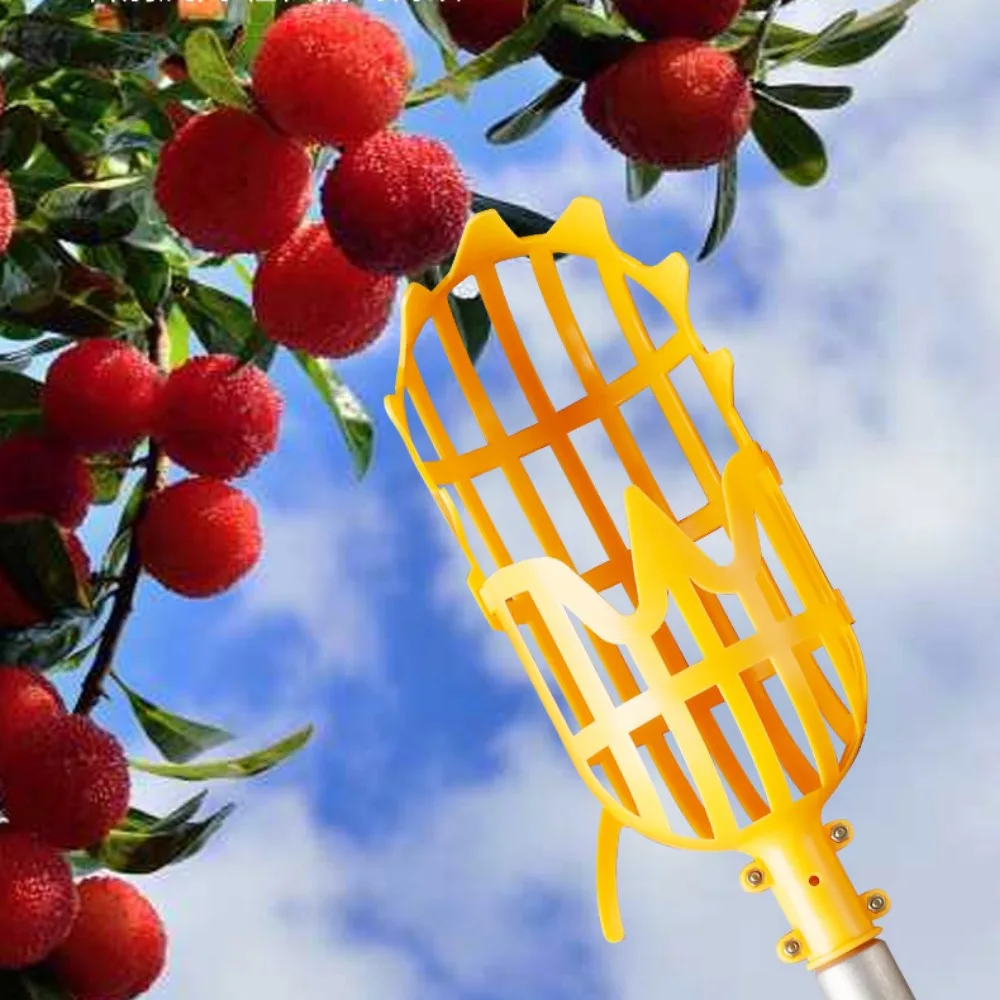 Garden Hand Tools Fruit Picker Multi-color Plastic Fruit Picking Tool Catcher Agrarische Bayberry Jujube Picking Levert