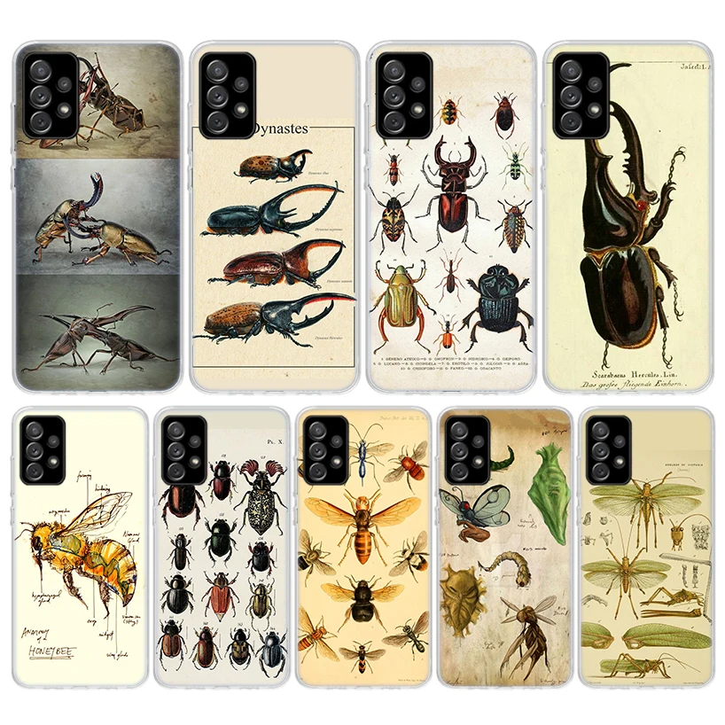 Bugs Bees Scientific Decomposition Phone Case For Samsung Galaxy A55 A54 A52 A53 A16 A15 A14 A12 A13 A25 A24 A22 A23 A35 A34 A32