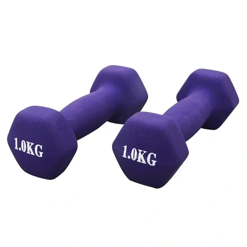 High Quality Wholesale Weights Lifting Gym Fitness Equipment Customized Vinyl Dumbbell/1KG Neoprene Dumbbell Set For Sale