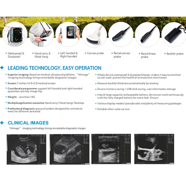 Handheld animal ultrasound scanner Veterinary ultrasound machine for use with horse cattle, pigs, dogs, cats and goats