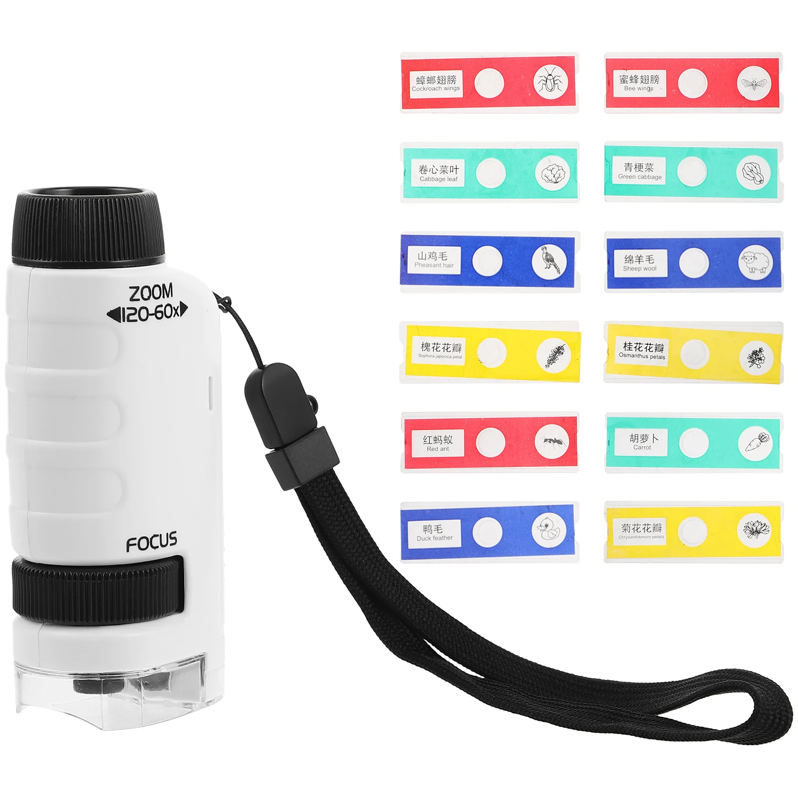 1 Set Mini microscopio portatile portatile per bambini Esperimenti scientifici Cursori ad alta definizione Esplorazione di biologia Apprendimento all'aperto