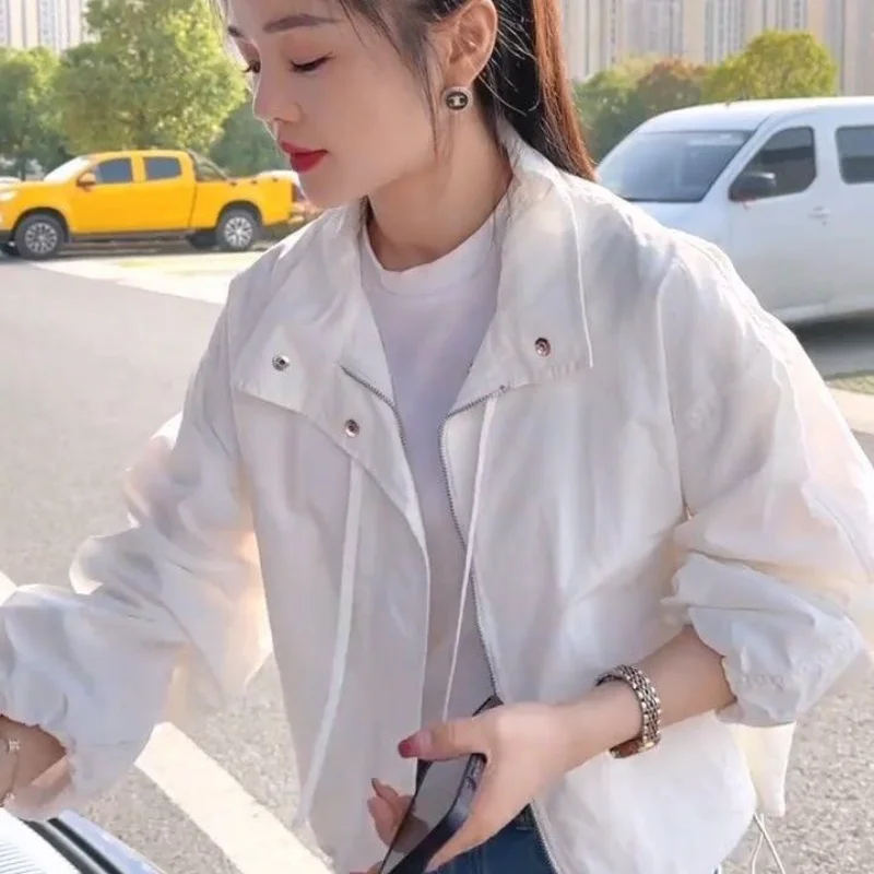 Korte top met opstaande kraag, lente herfst, losse, veelzijdige vrijetijdsjas