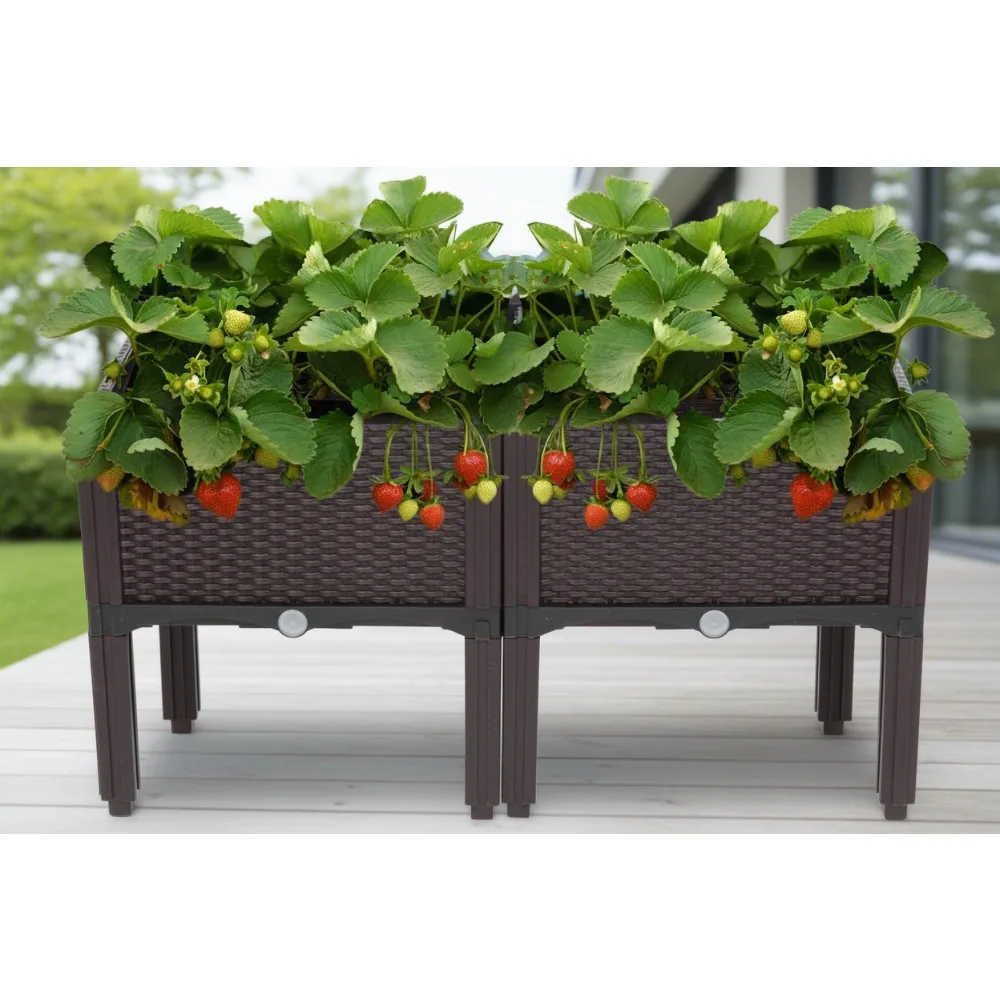 

Self-Watering Raised Garden Bed, Plastic Planter for Vegetables Fruits Flowers, All Weather Indoor Outdoor Use (2 Pack)