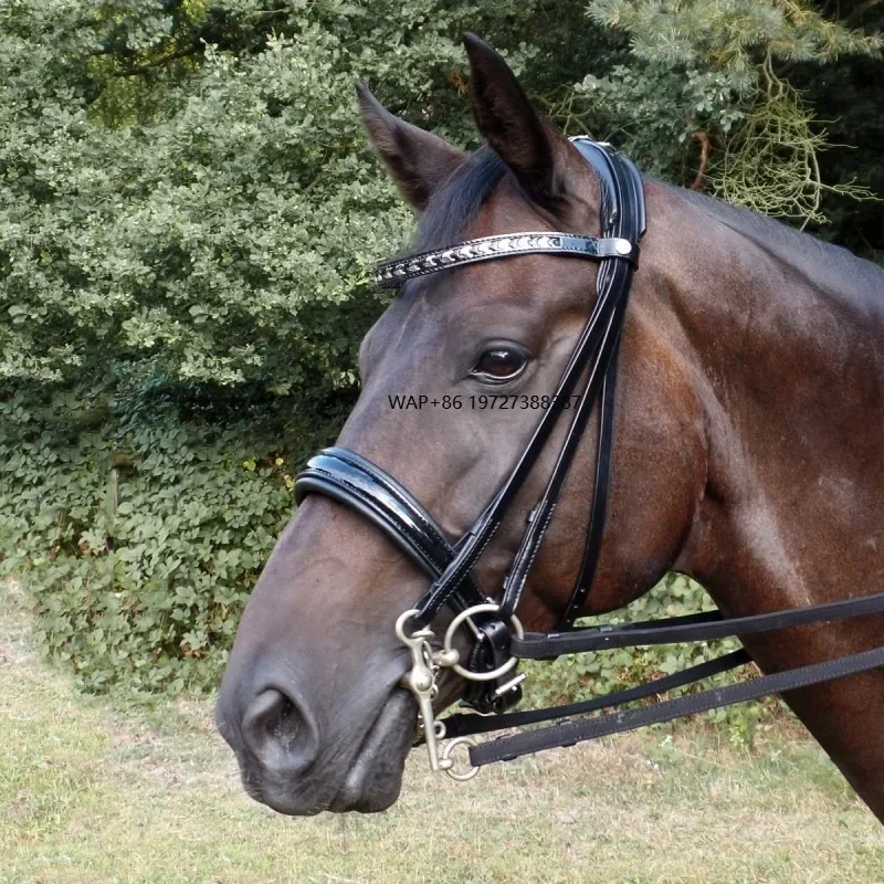 

Elite Swedish Leather Horse Bridle Kostolany Double Rein Adjustable Comfort Fit Balanced Control for Schooling and Events