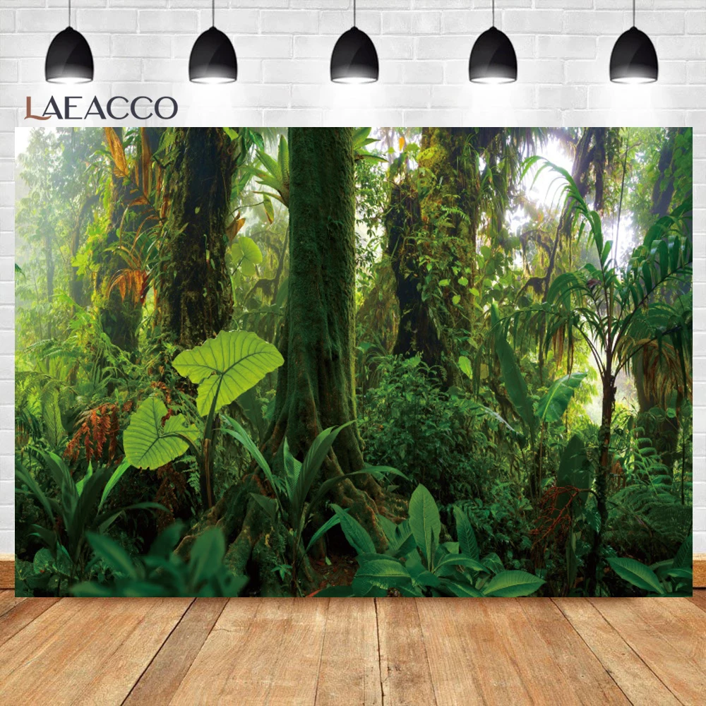 خلفية تصوير الغابات الاستوائية ، الربيع ، الغابة ، المطر ، الأوراق الخضراء ، المناظر الطبيعية الخلابة ، ديكور الغرفة ، الخلفيات ، استوديو الصور