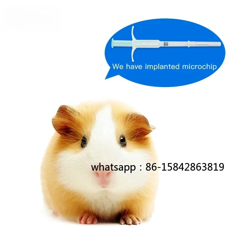 134.2KHz Small Size Rfid Animal Microchip Pet Microhips Syringe ISO Chip FDX-B 1.25*7mm Rfid Injection Sheep Cat Syringe