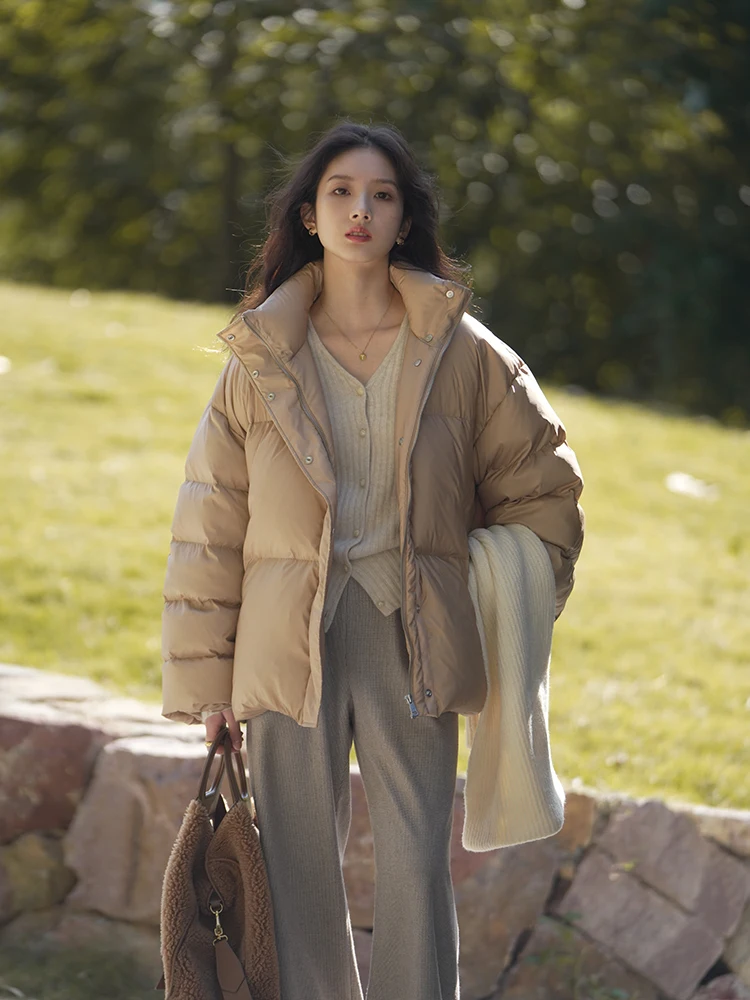 

Утепленное пуховое пальто ChillCozy: свободный крой, воротник-стойка, длинные и короткие рукава, однотонное, для повседневной носки, зимняя верхняя одежда