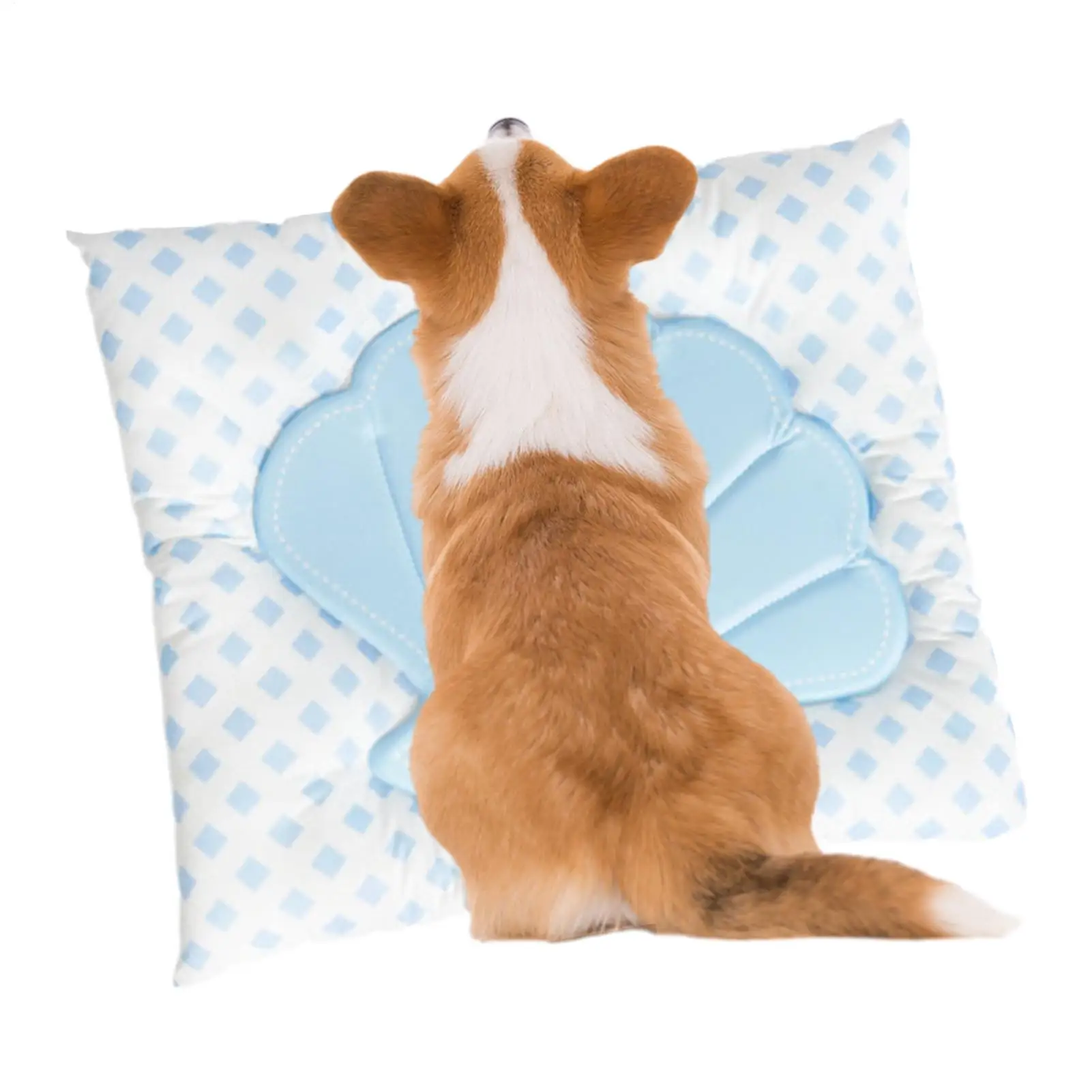 cooling-dog-mat-shell-shape-comfortable-play-pad-summer-sleeping-mat-for-pets-puppy-rabbits-animal-summer-outdoor-outside-indoor