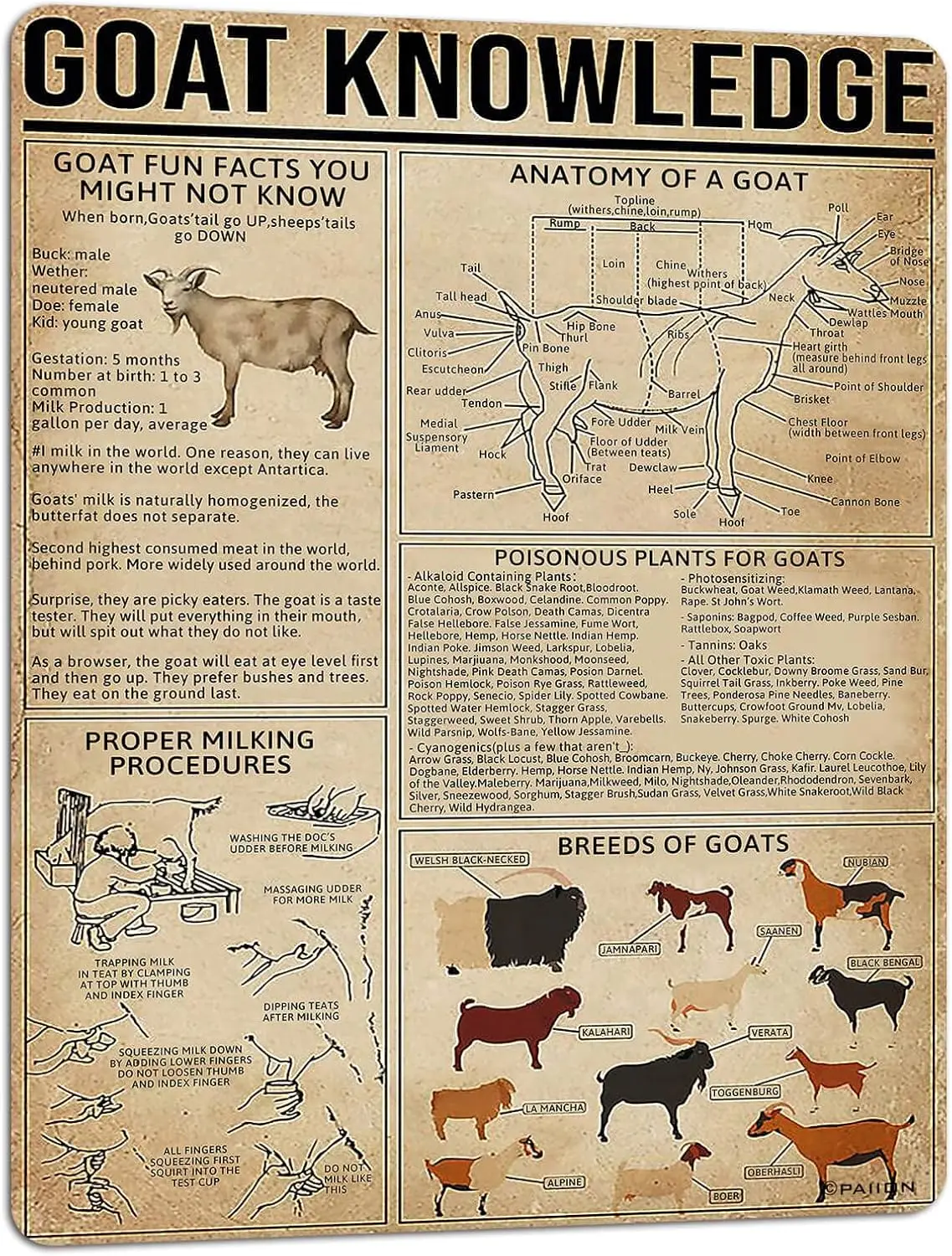 PAIION Goat Knowledge Panneau en métal, Affiche en métal avec infographique sur les chèvres pour la décoration murale de la ferme, de la maison, de la cuisine, de l'école et du club 16x1