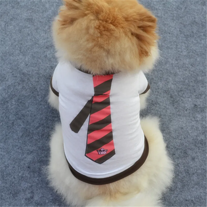 Spring  Summer Hot Sale Pet Clothes Korean Style Breathable Dog T-Shirt with Tie Cute Vest for Poodle Shiba Inu Cats view 2
