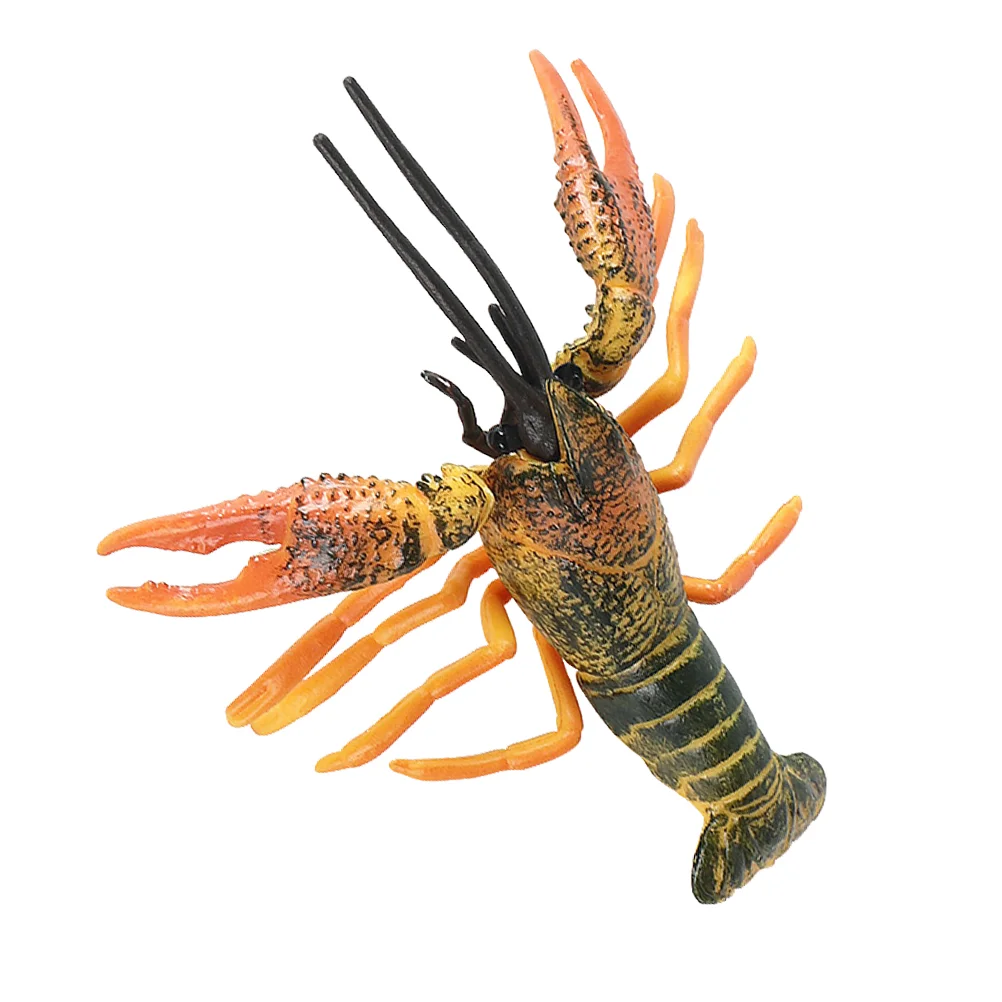 

Ornament Lobster Model Science Cognitive Toy Artificial Figurine Craft Kids Green Child