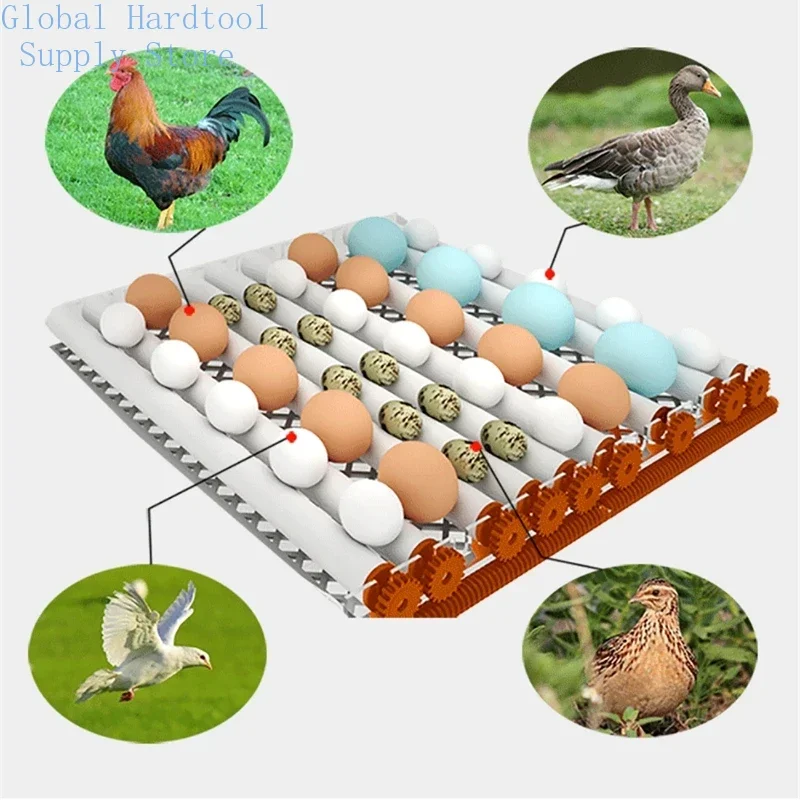16-Egg Automatic Incubator Brooder Fully Automatic Hatchery Machine Turner Home Farm Egg Incubator Controller for Chicken Bird E